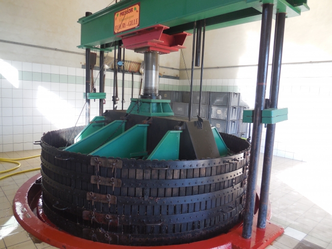 CHAMPAGNE FLEURY GILLE - Pressoir traditionnel 4000 kg